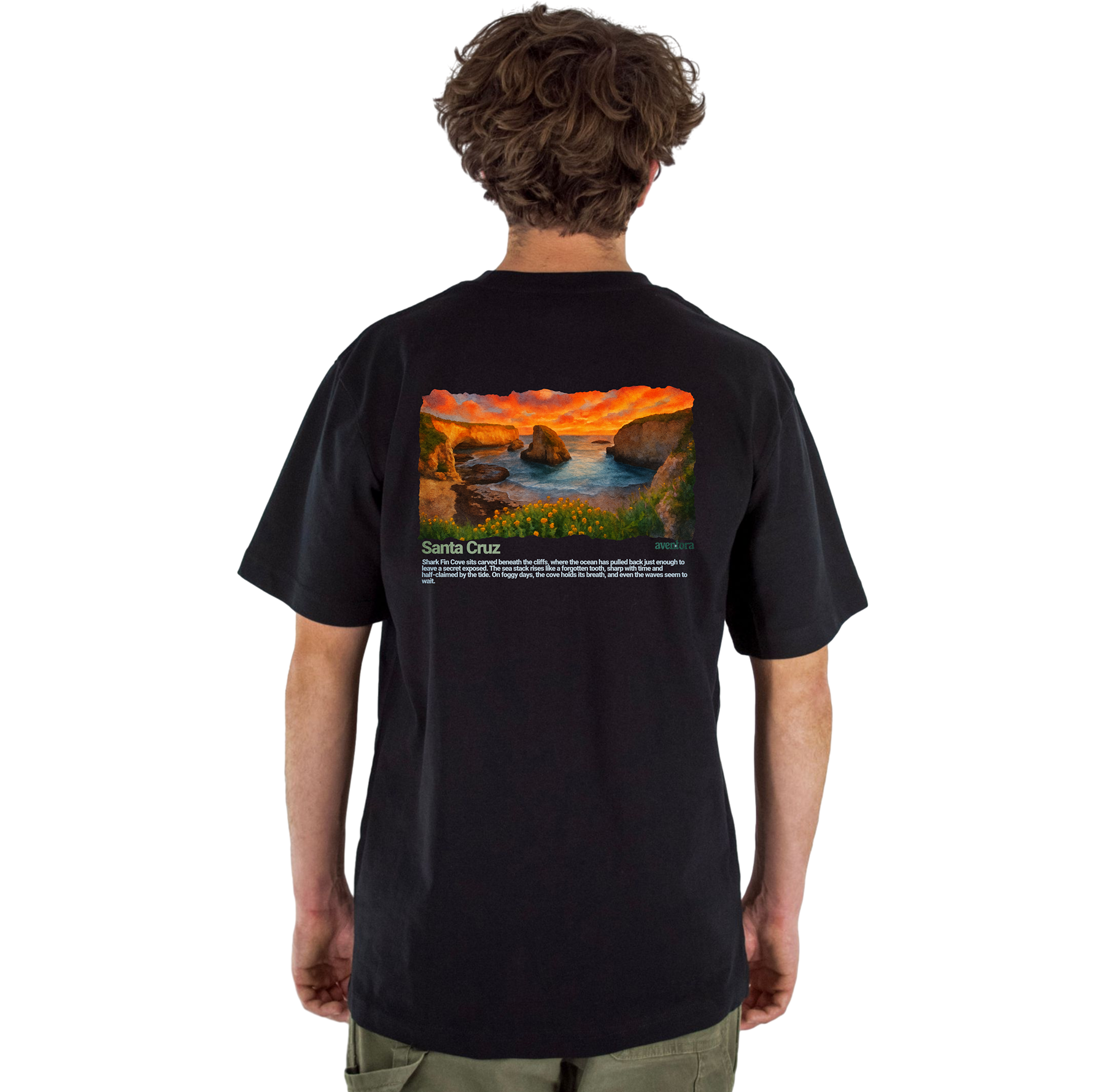 Person wearing a black t-shirt with a santa cruz scenic print on the back, standing against a white background.