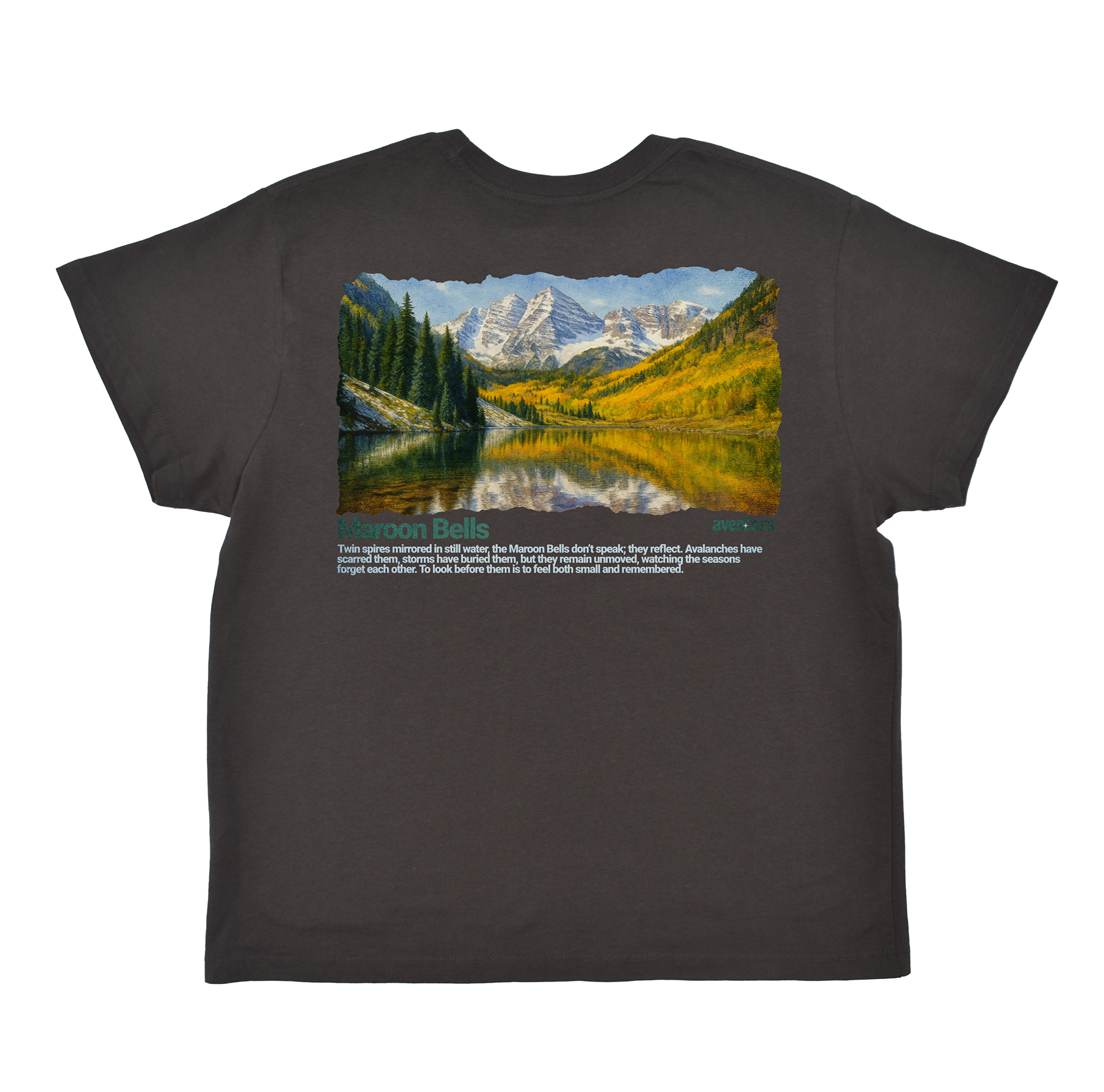Black t-shirt with a scenic print of mountains and lake on a white background