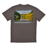 Gray t-shirt with a nature scene on the back featuring mountains and a lake.