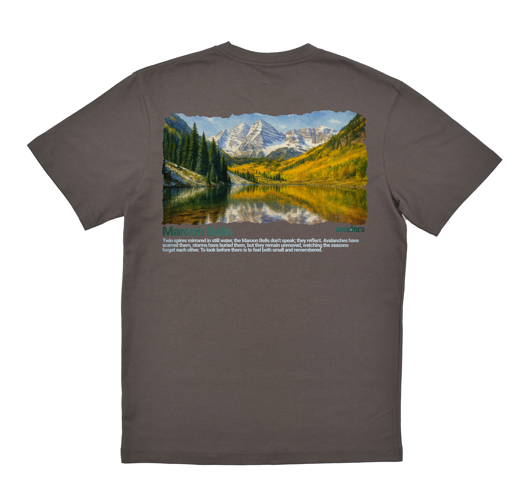 Gray t-shirt with a nature scene on the back featuring mountains and a lake.