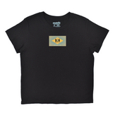 Delaware Flag Boyfriend Tee