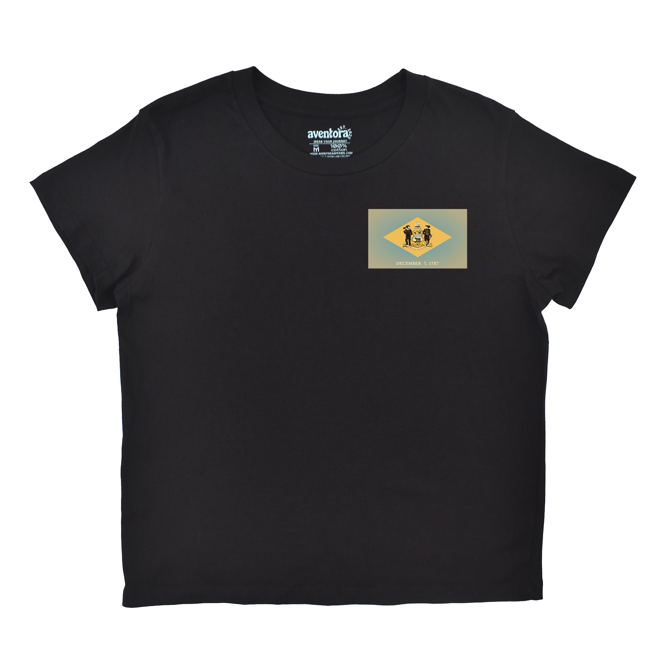 Delaware Flag Boyfriend Tee