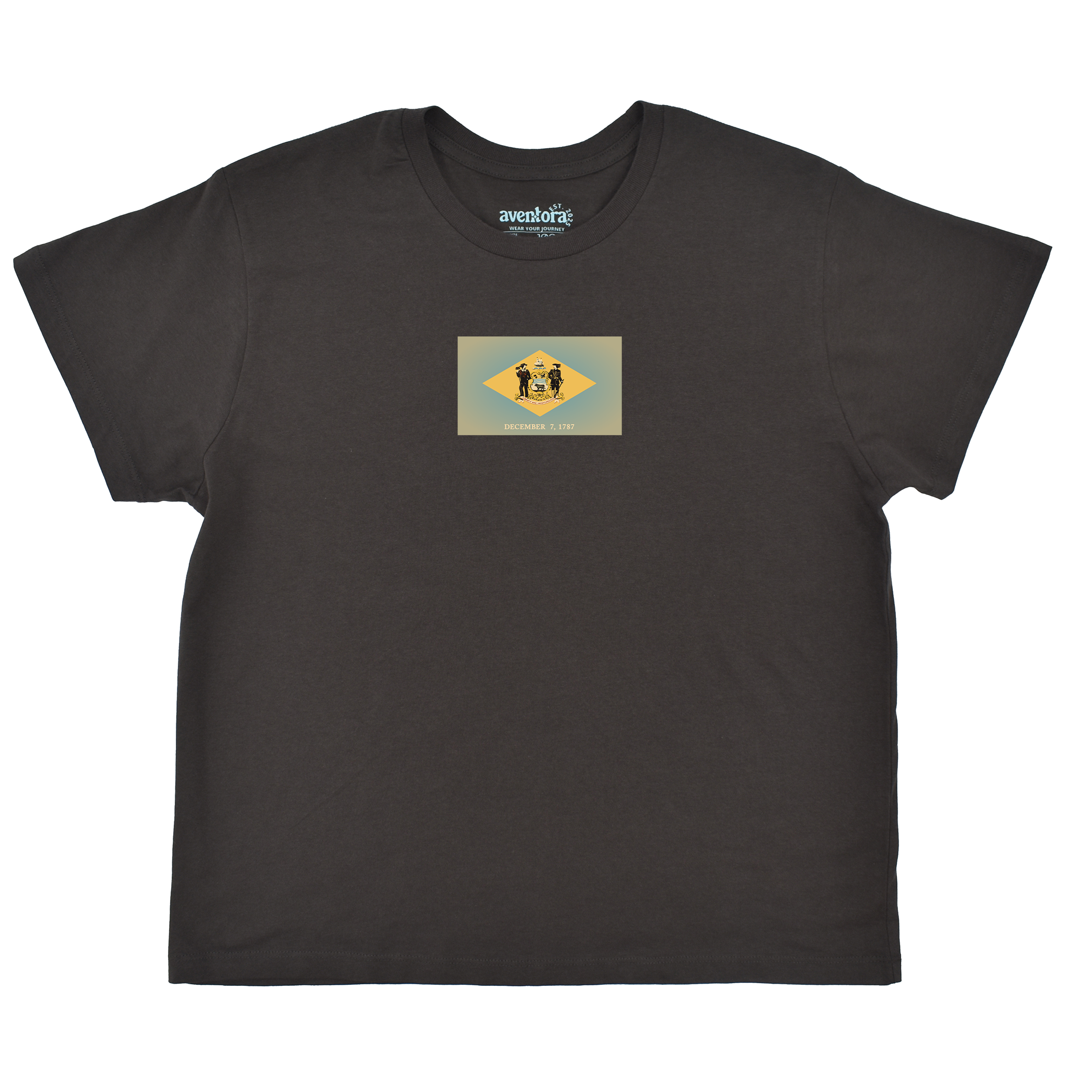 Delaware Flag Boyfriend Tee