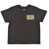 Delaware Flag Boyfriend Tee