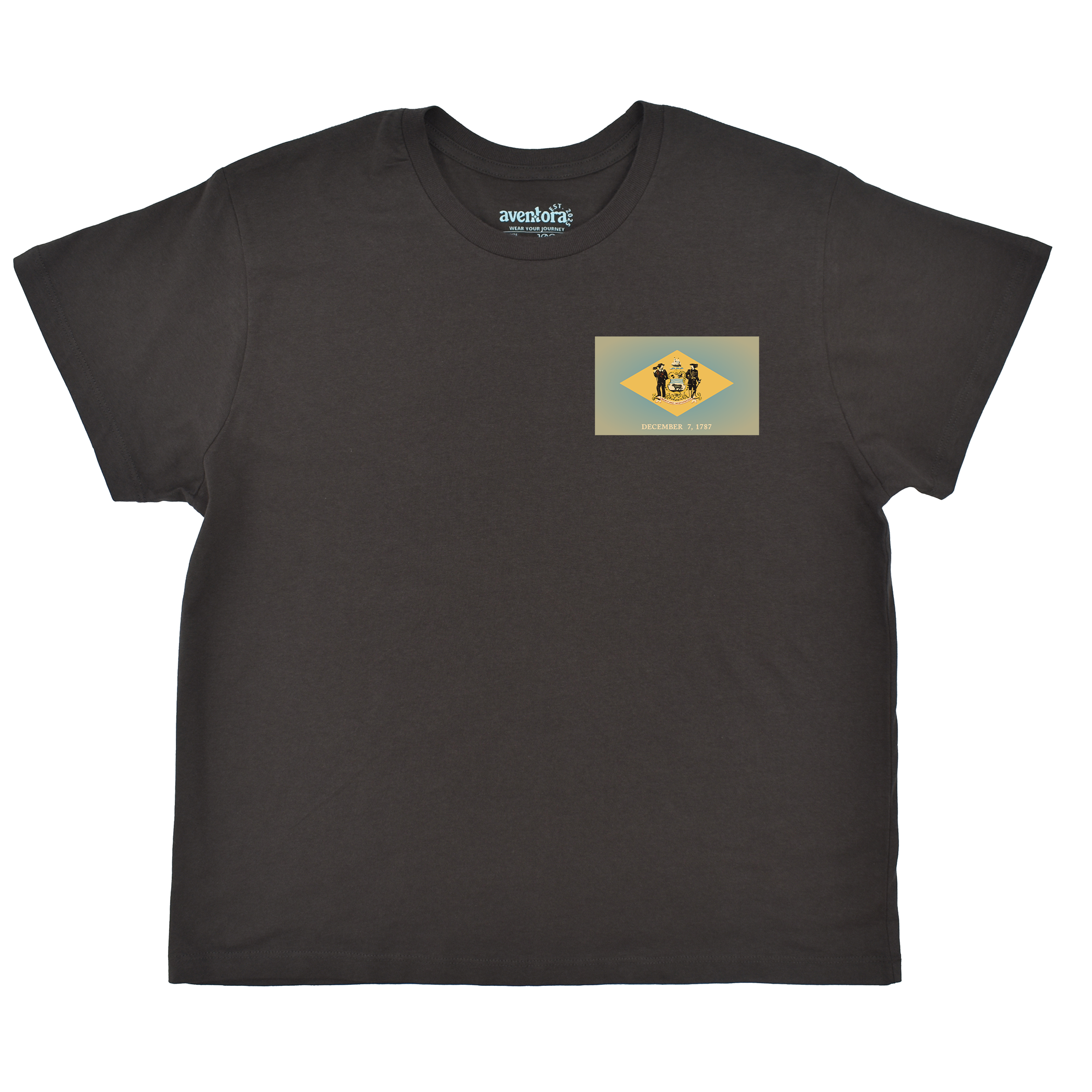 Delaware Flag Boyfriend Tee