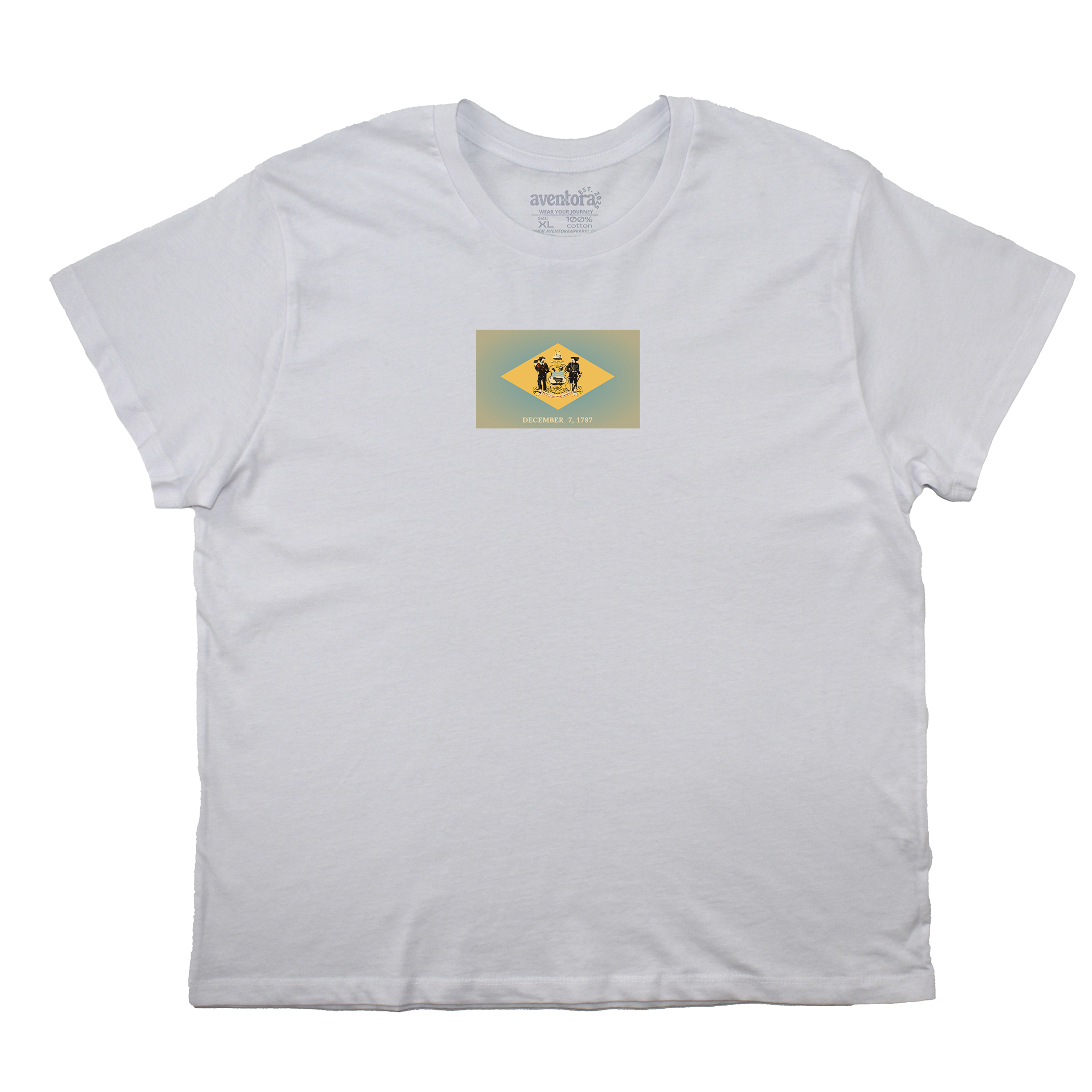 Delaware Flag Boyfriend Tee