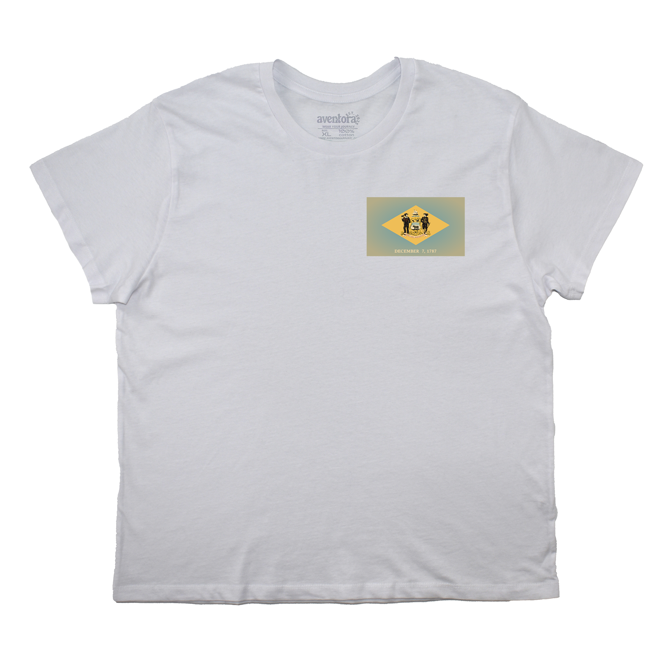Delaware Flag Boyfriend Tee
