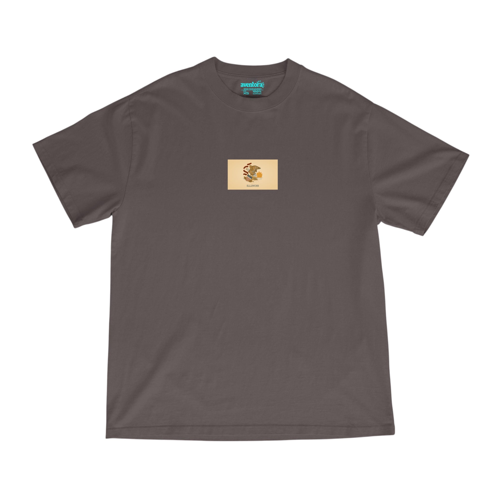 Illinois Flag Core Tee