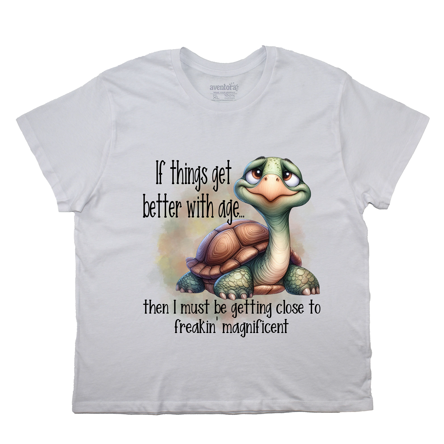 Aging Magnificent Boyfriend Tee