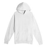 Aging Magnificent Turtle Hoodie
