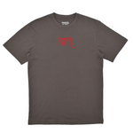 Gray t-shirt with red text on a white background