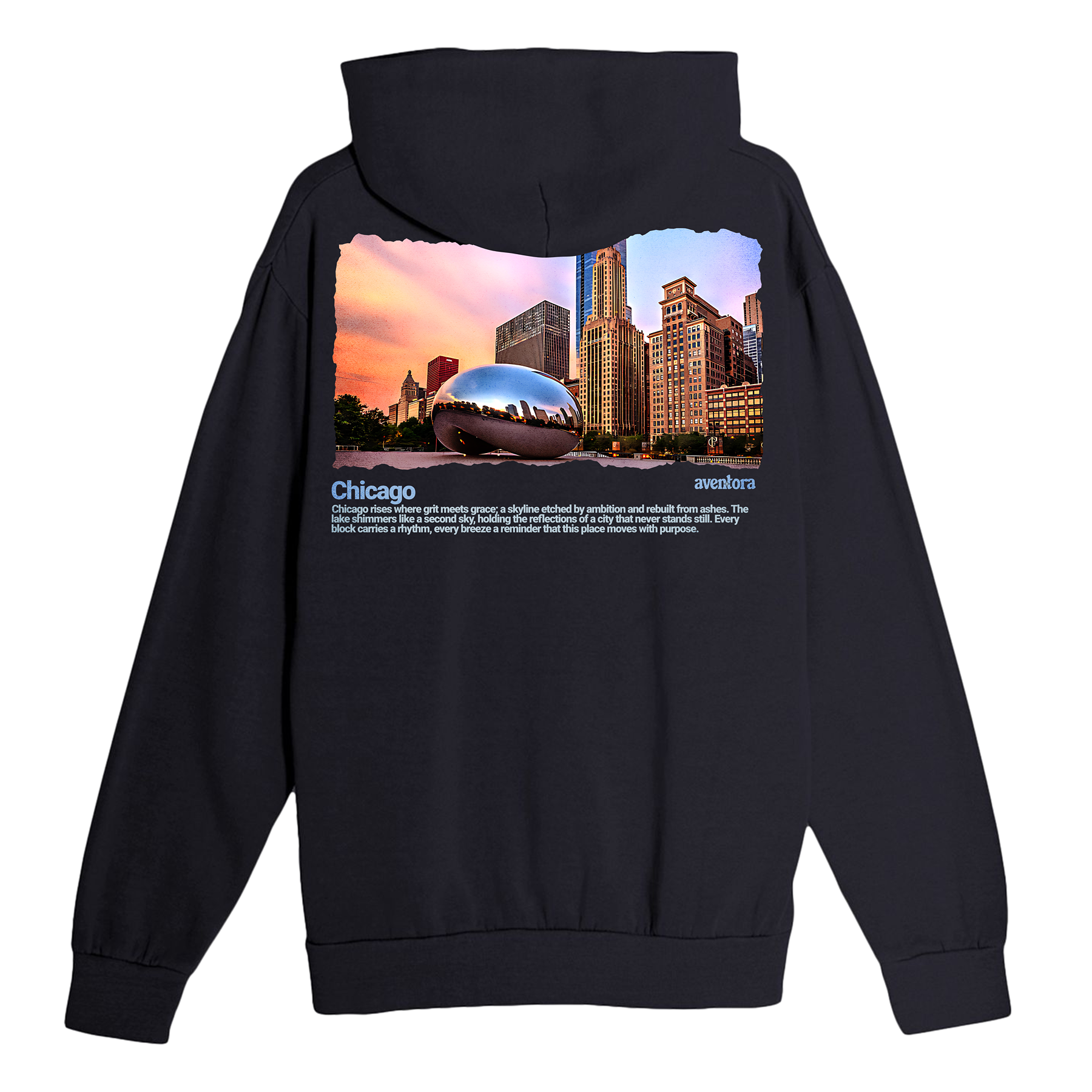Chicago Illinois Hoodie