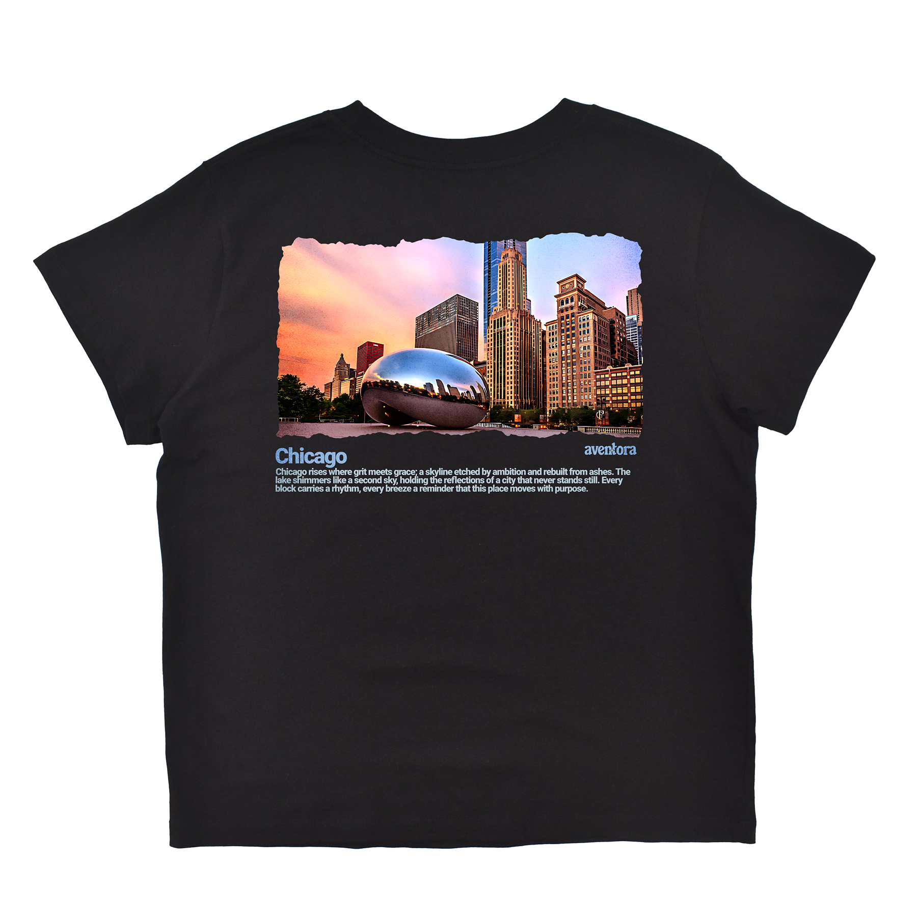 Black t-shirt with a graphic of the Chicago Bean and skyline on a white background