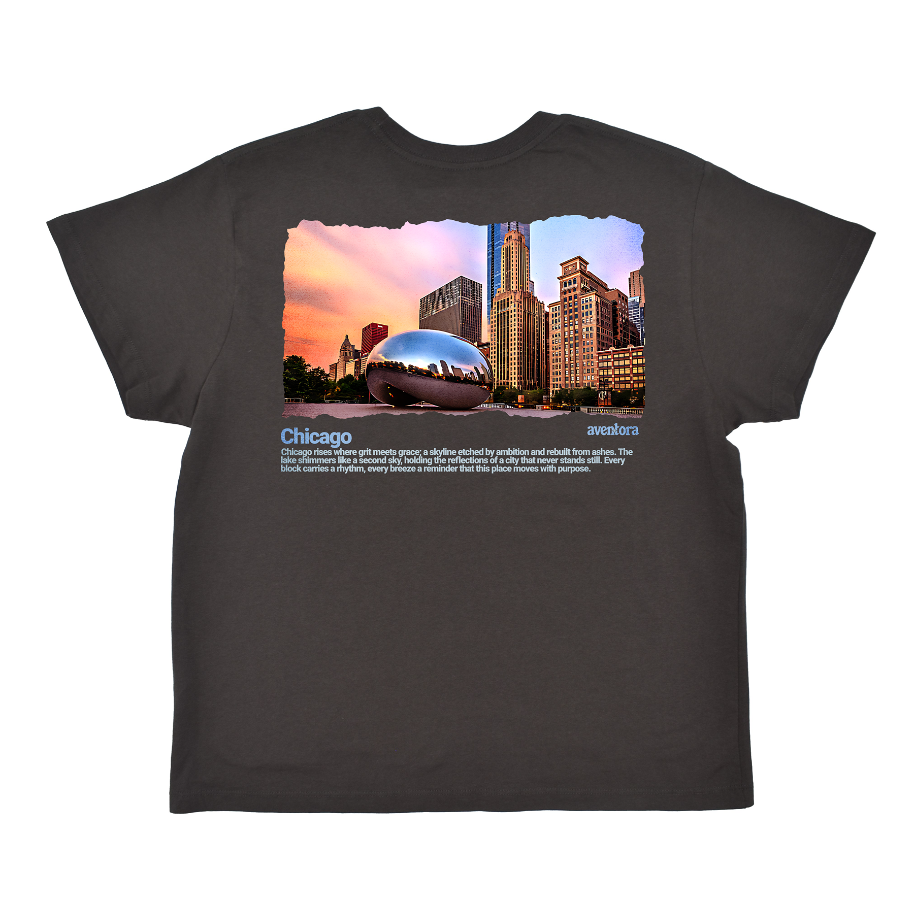 Black t-shirt with a graphic of the Chicago skyline and Bean sculpture on a white background