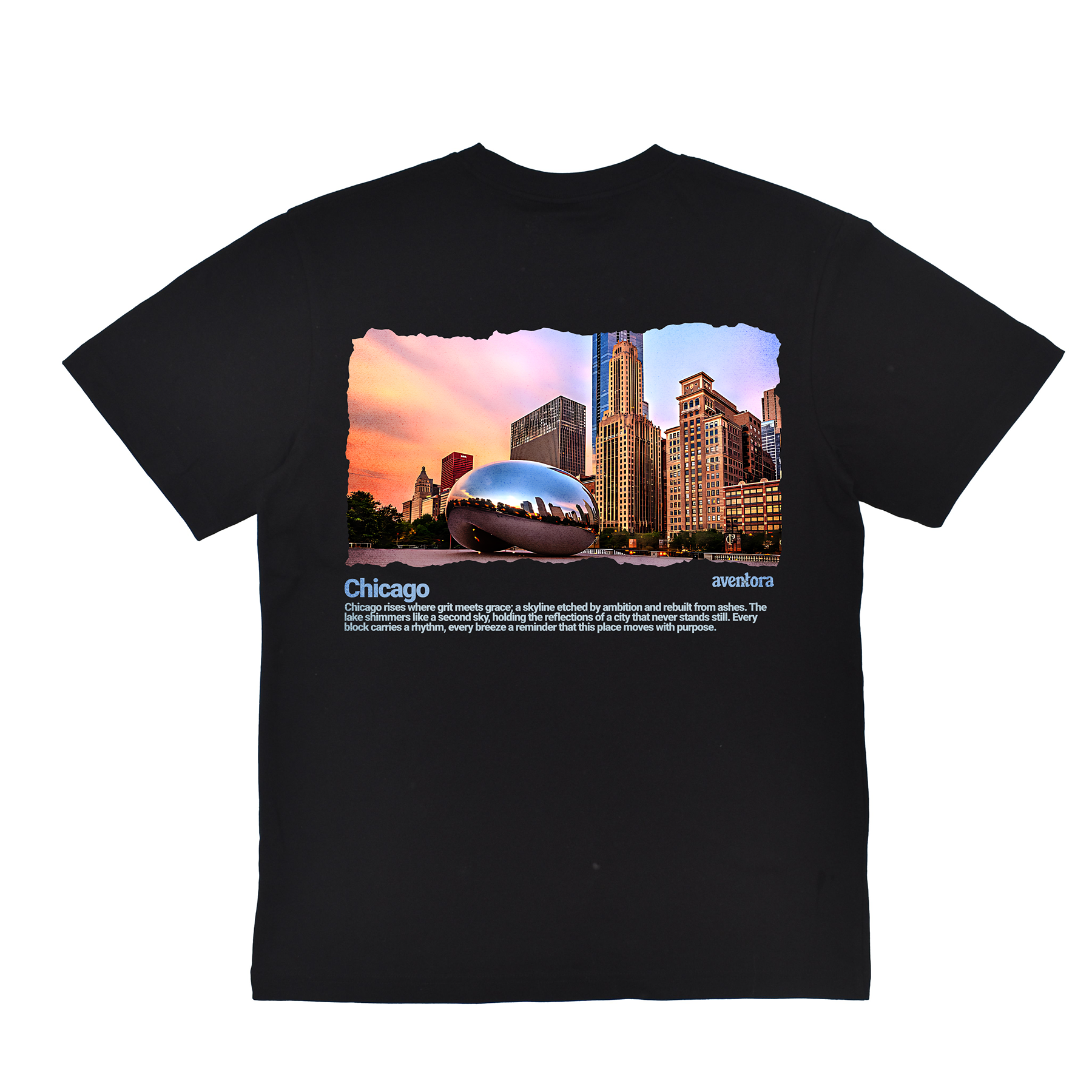 Black t-shirt with a graphic of Chicago's skyline and Bean sculpture on a white background