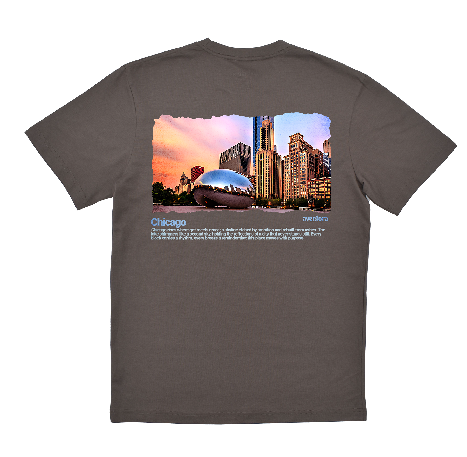 Gray t-shirt with a graphic of the Chicago skyline and Bean on the back