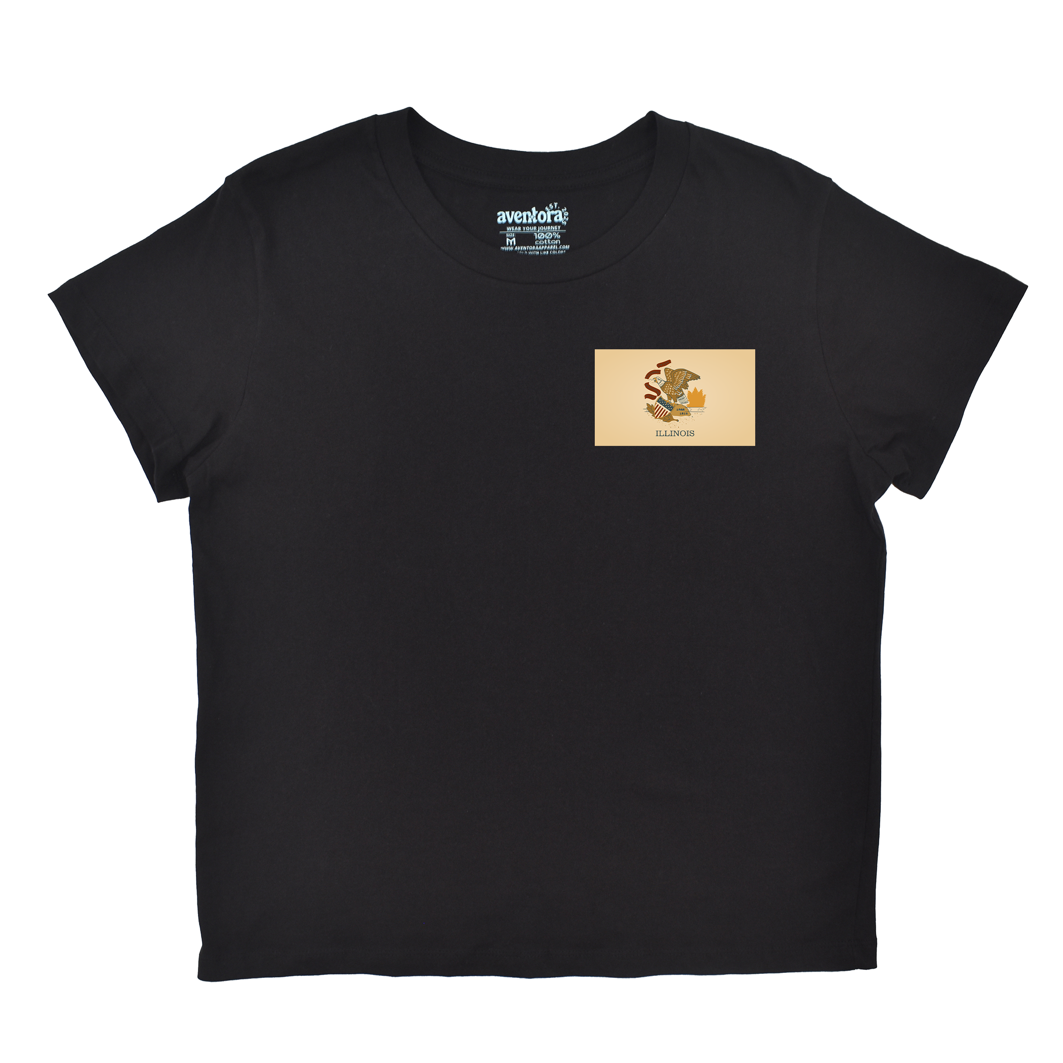 Illinois Flag Boyfriend Tee