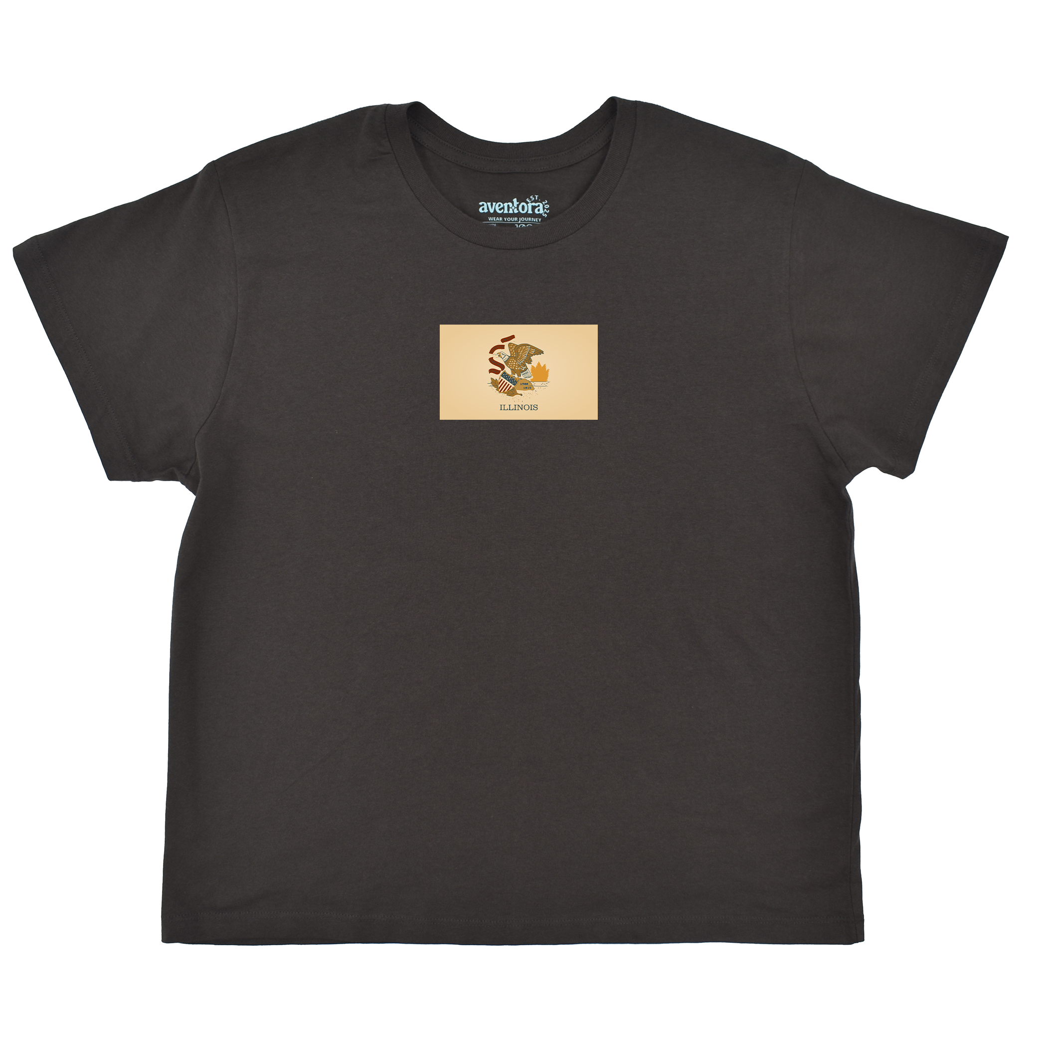 Illinois Flag Boyfriend Tee