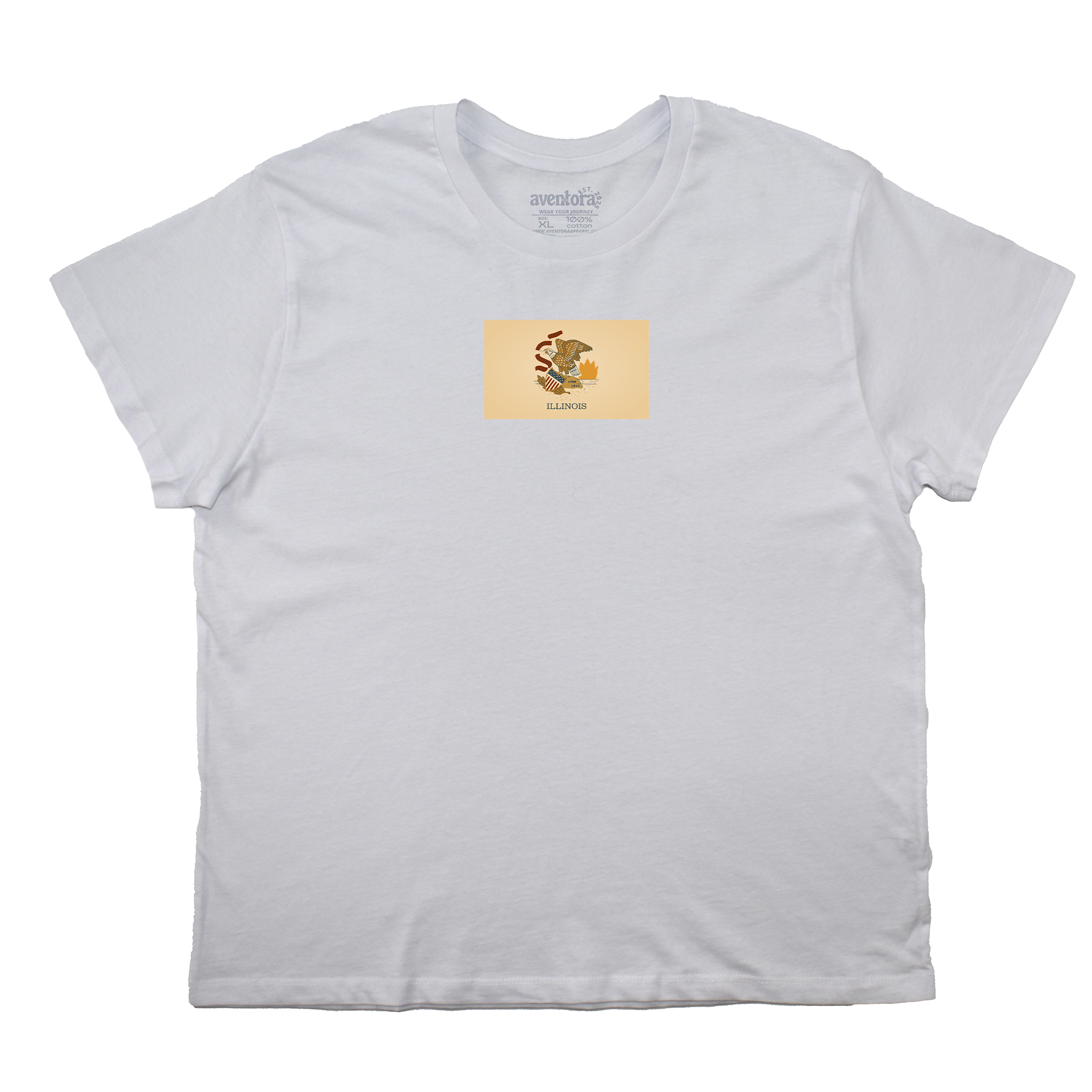 Illinois Flag Boyfriend Tee