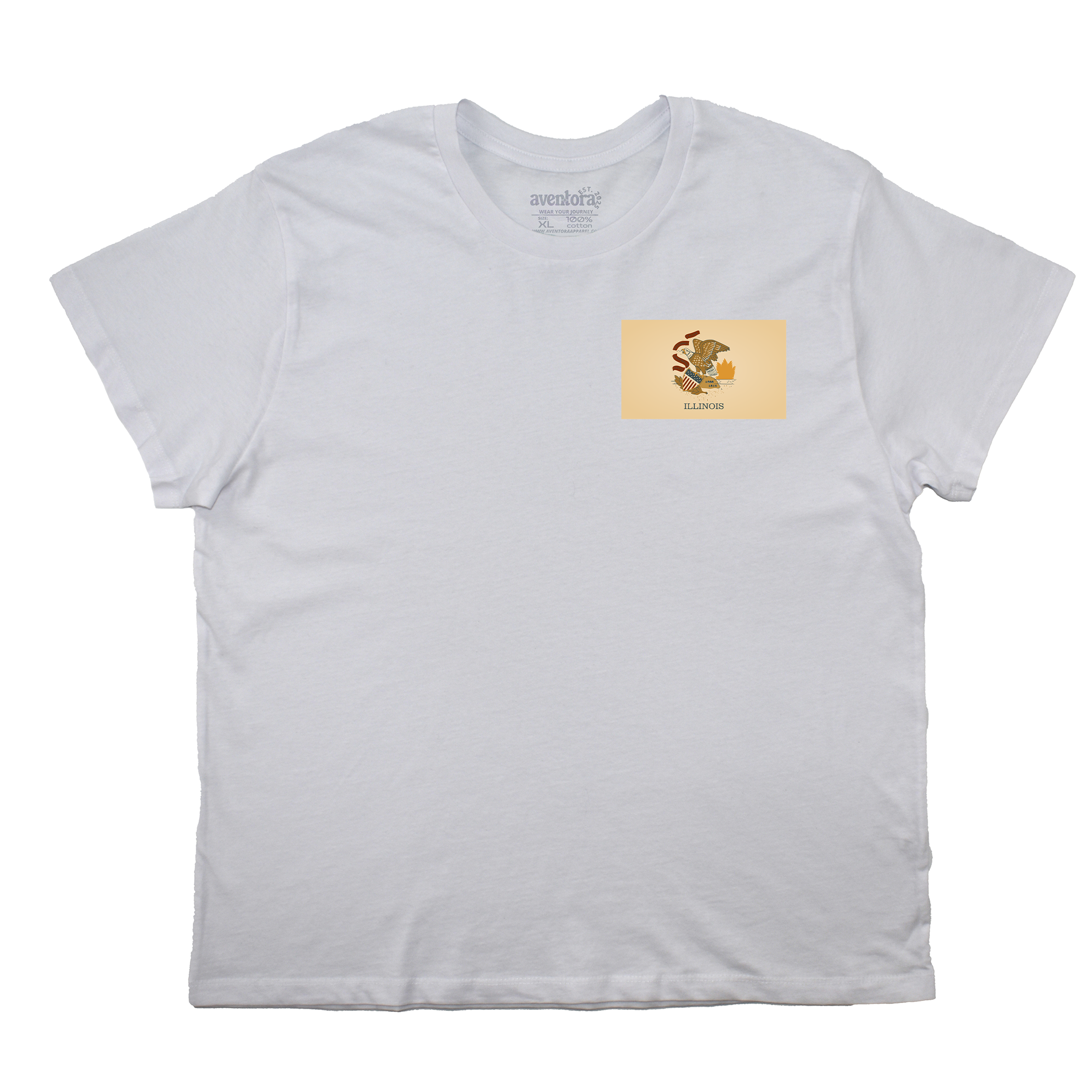 Illinois Flag Boyfriend Tee