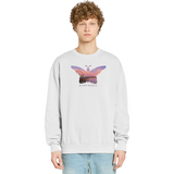 Person wearing a light gray sweatshirt with a colorful butterfly graphic on a white background