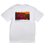 Pacific Grove California Core Tee