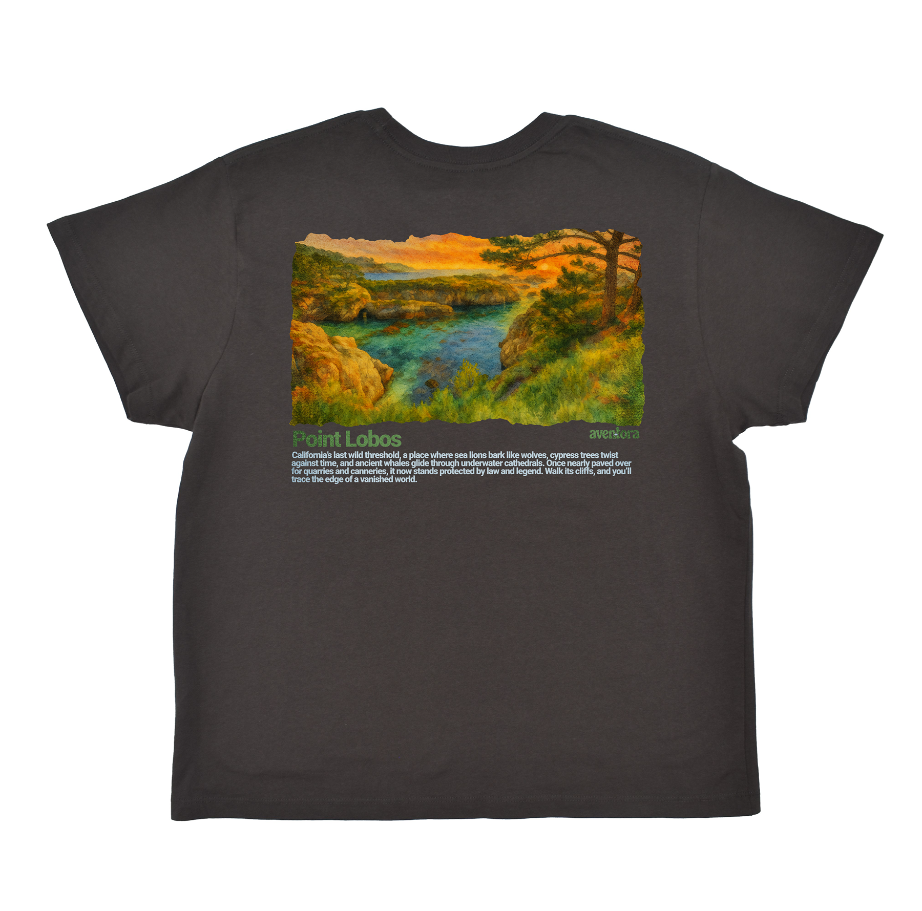 Point Lobos California Boyfriend Tee