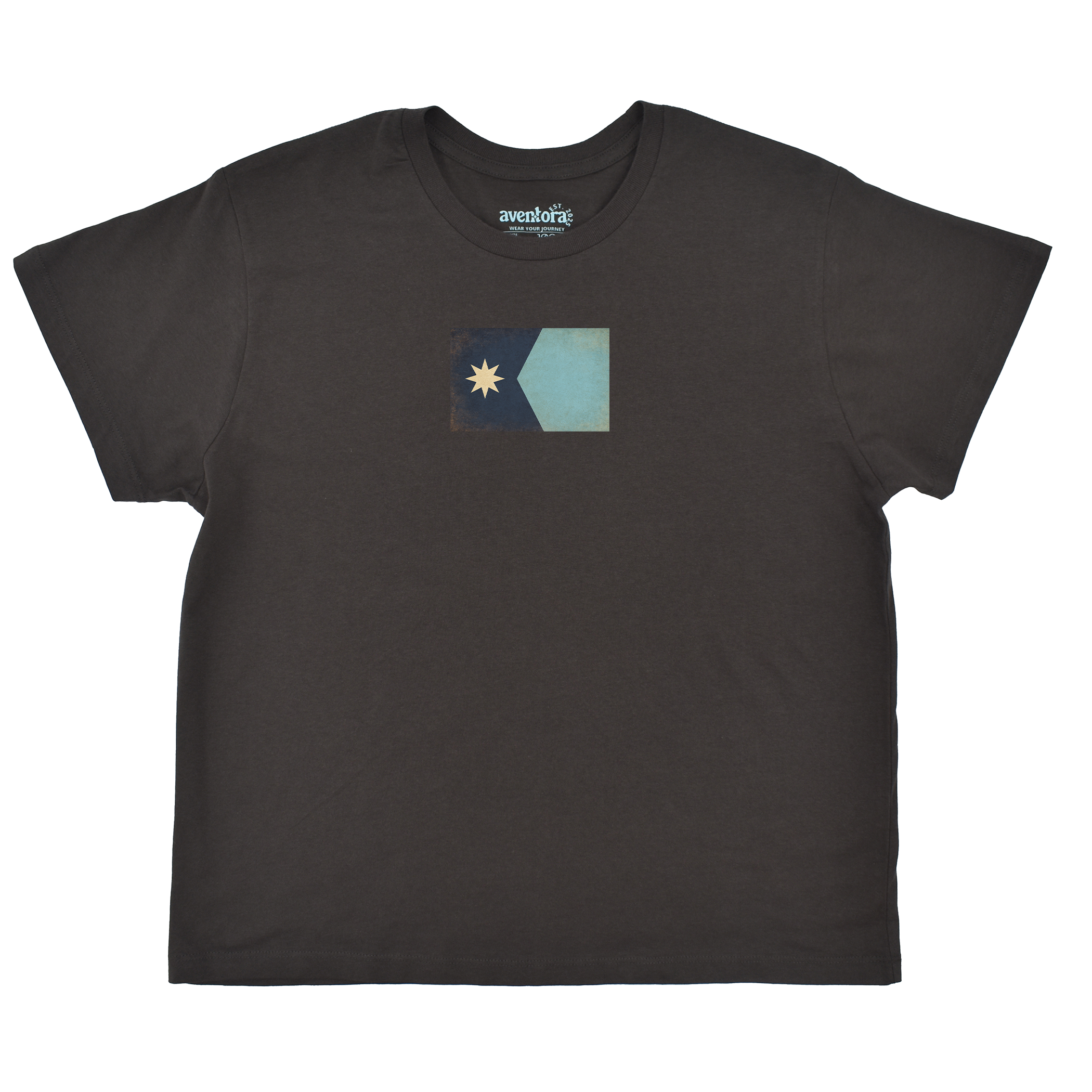Minnesota Flag Boyfriend Tee