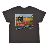 Amish Country Ohio Stamp Boyfriend Tee