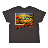 Amish Country Ohio Stamp Boyfriend Tee
