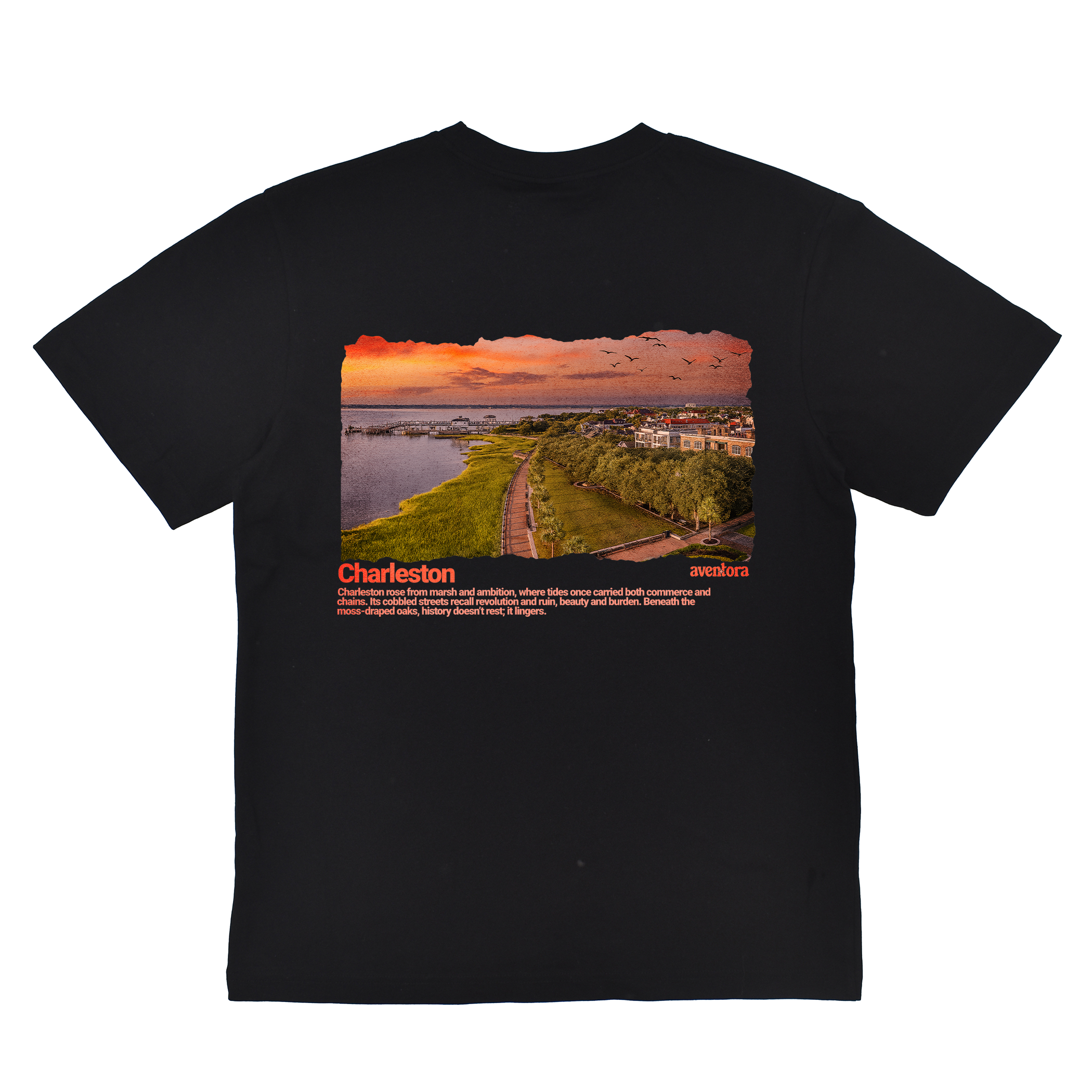 Black t-shirt with a scenic print and 'Charleston' text on a white background