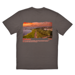 Gray t-shirt with a scenic print of Charleston on the back