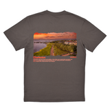 Gray t-shirt with a scenic print of Charleston on the back