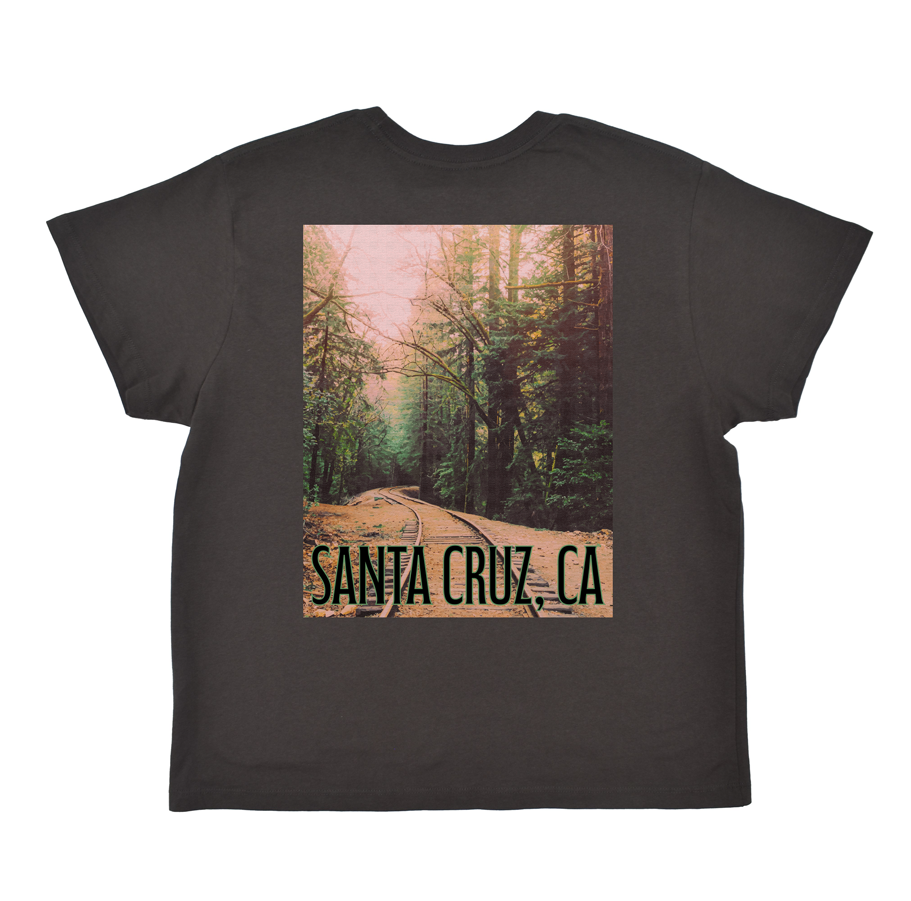 Black t-shirt with a forest graphic and 'Santa Cruz, CA' text on a white background