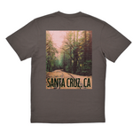 Gray t-shirt with a scenic print of a forest road and 'Santa Cruz, CA' text on a white background