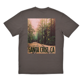 Gray t-shirt with a scenic print of a forest road and 'Santa Cruz, CA' text on a white background