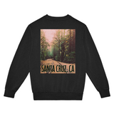 Black sweatshirt with a scenic print and 'Santa Cruz, CA' text on a white background