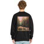 Black sweatshirt with a forest graphic and 'Santa Cruz, CA' text on the back, worn by a person.