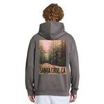 Person wearing a gray hoodie with a forest graphic and 'Santa Cruz, CA' text on the back.