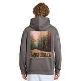 Person wearing a gray hoodie with a forest graphic and 'Santa Cruz, CA' text on the back.