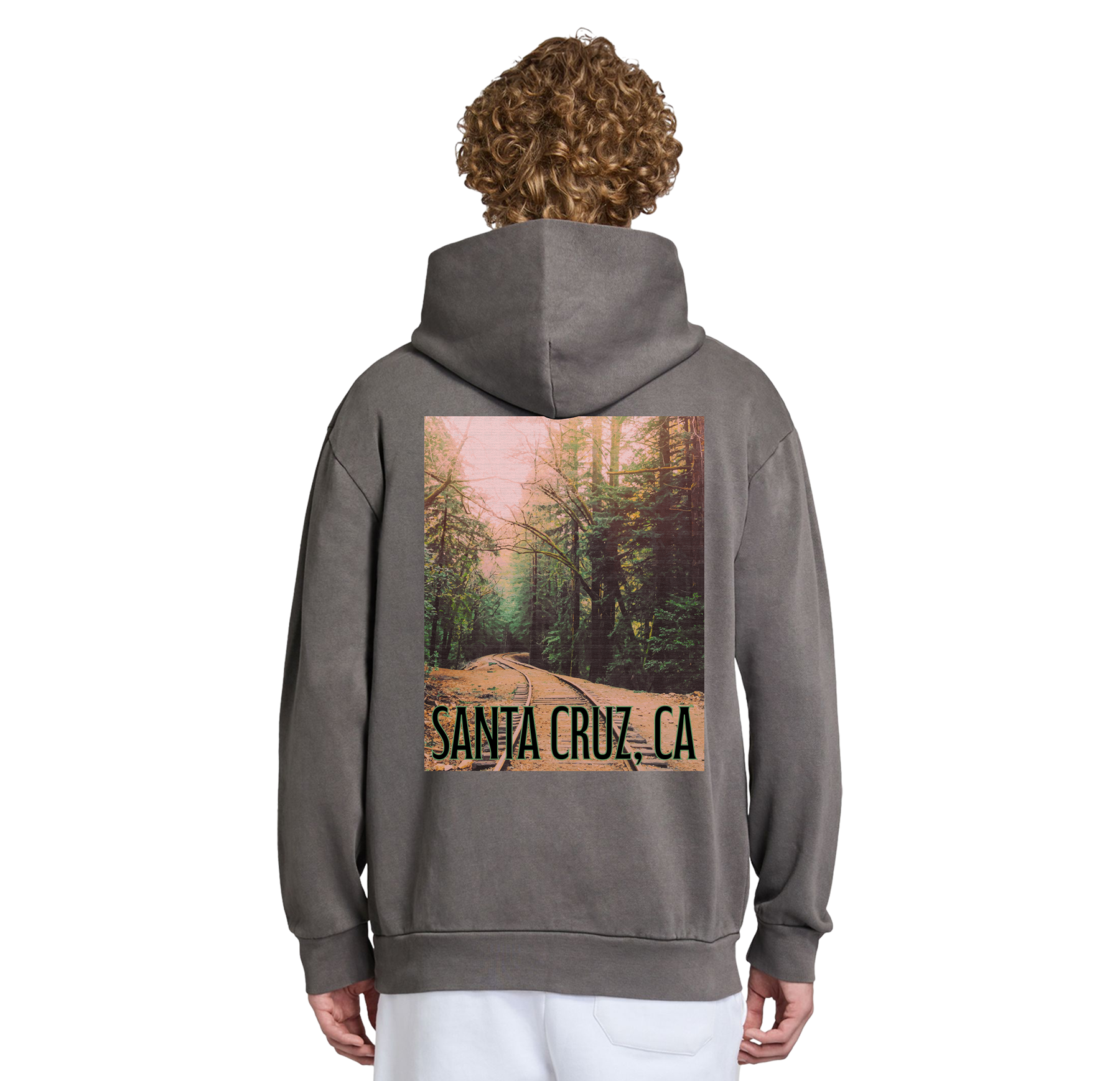 Person wearing a gray hoodie with a forest graphic and 'Santa Cruz, CA' text on the back.