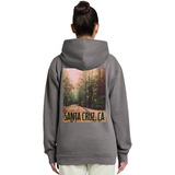 Person wearing a gray hoodie with a forest graphic and 'Santa Cruz, CA' text on the back.