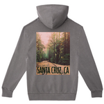 Gray hoodie with a scenic print of Santa Cruz, CA on the back