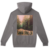 Gray hoodie with a scenic print of Santa Cruz, CA on the back