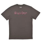 Gray t-shirt with 'Santa Cruz' logo on a white background