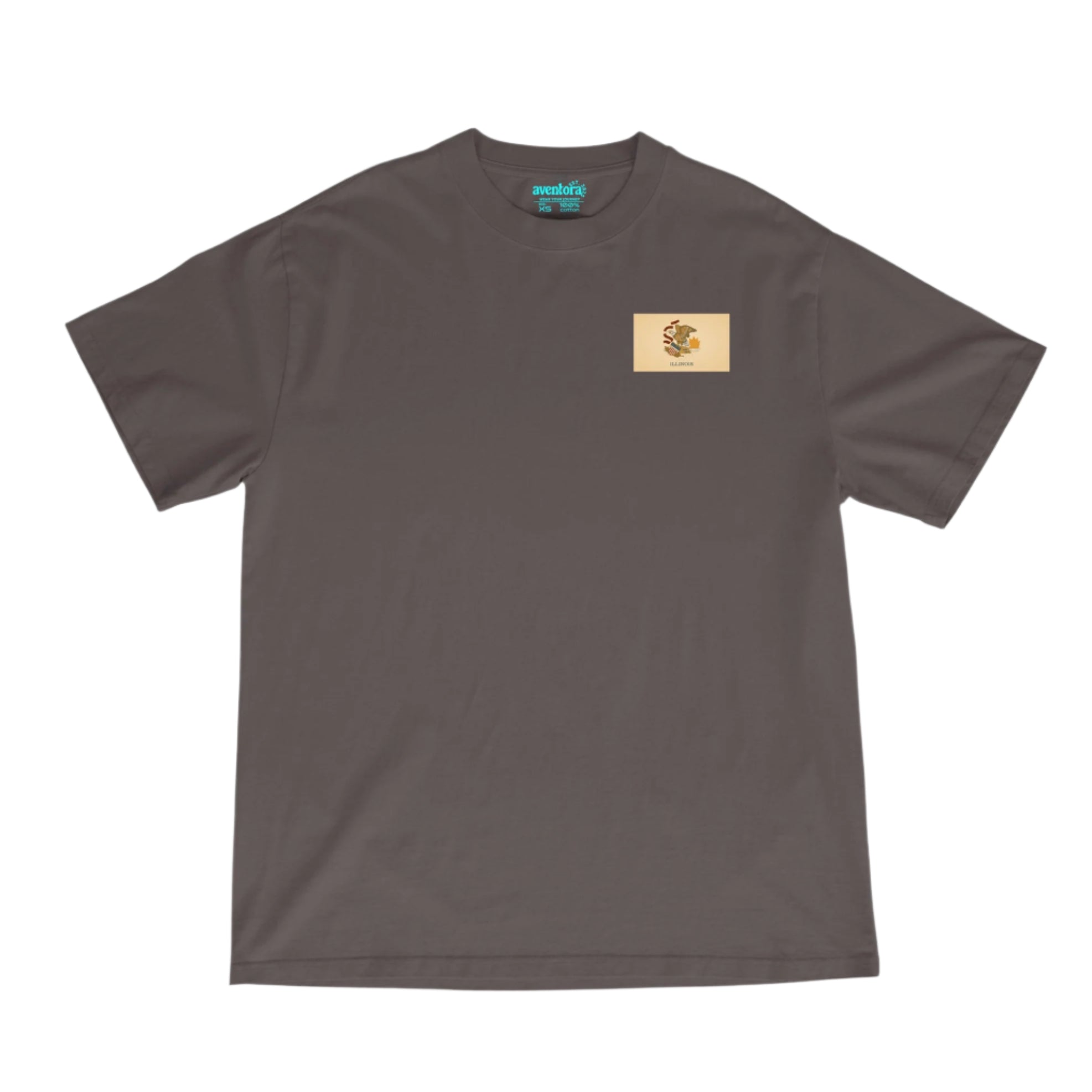 Illinois Flag Core Tee